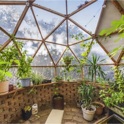 greenhouse 